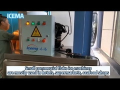 হোটেল ব্যবহারের জন্য বাণিজ্যিক স্বাদু পানির ফ্লেক আইস মেশিন ছোট ফ্লেক আইস মেকার ফ্লেক আইস প্ল্যান্ট