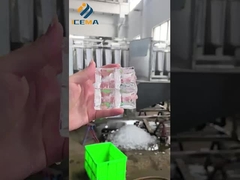 উচ্চ মানের শিল্প পেলেট আইস মেশিন চালু হচ্ছে