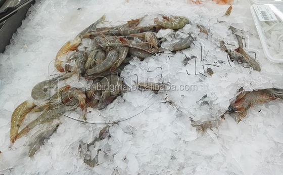 1 টন স্বাদু পানির ফ্লেক আইস মেশিন বাণিজ্যিক 380V 220V